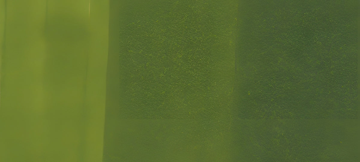 Copic Sketch Marker Greens, Pine Tree Green G29