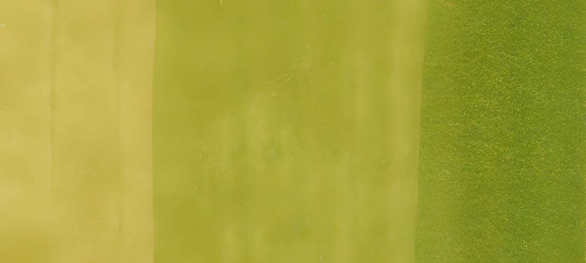Copic Sketch Marker Yellow Greens, Yellow Green YG03