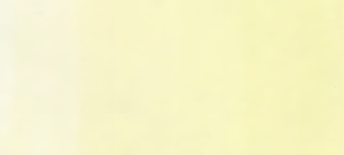 Copic Sketch Marker Yellows, Pale Lemon Y000