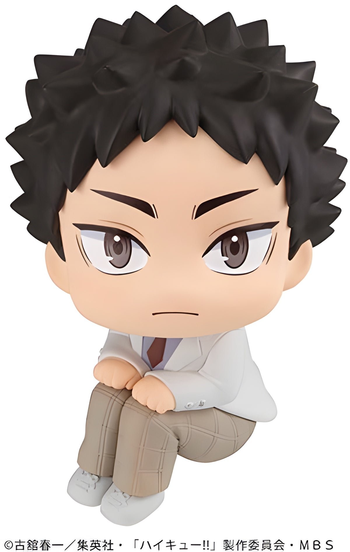 Lookup Haikyu!! Hajime Iwaizumi