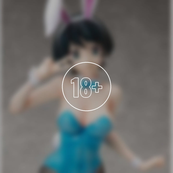 Ruka Sarashina: Bunny Ver. - 18+ adults only cover