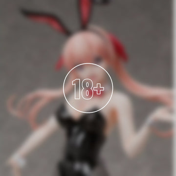 Erika Amano: Bunny Ver. - 18+ adults only cover