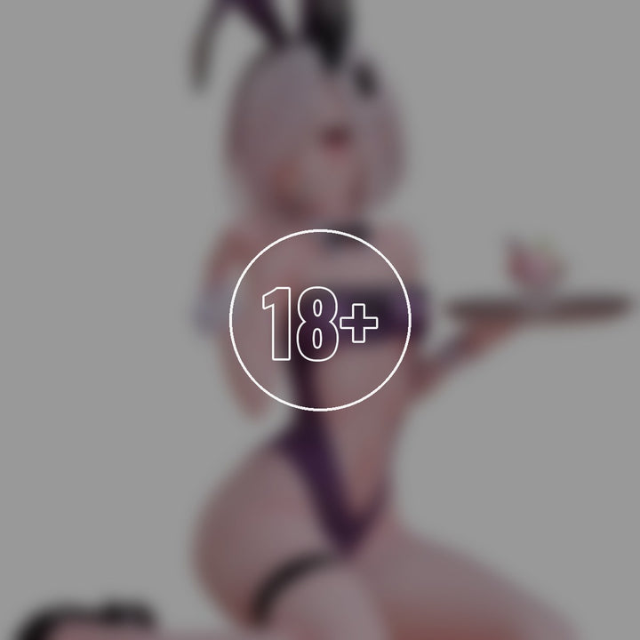 B-style Iro Bunny Illustrated by mignon 1/6 Complete Figure - 18+ adults only cover