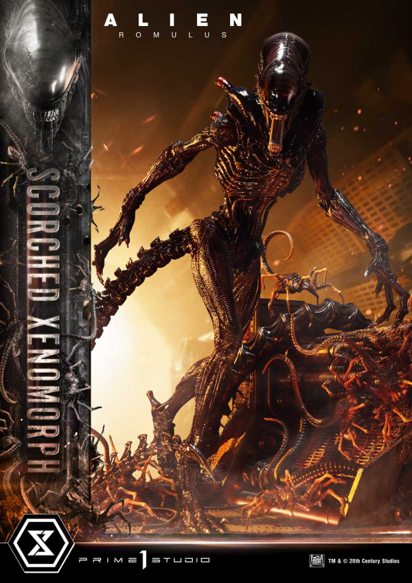 Prime 1 Studio Museum Masterline XL Alien: Romulus Scorched Xenomorph | 4582647121851