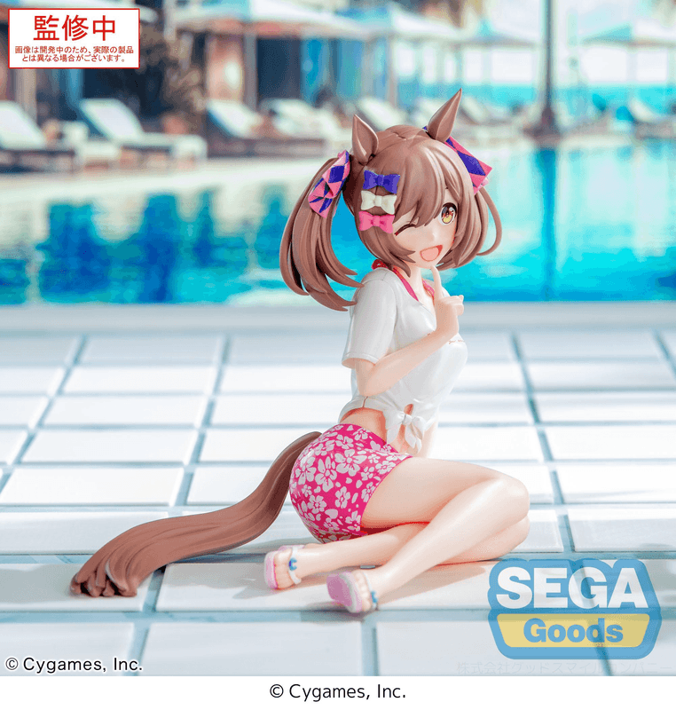 SEGA Yumemirize Umamusume: Pretty Derby Smart Falcon -Gaze on Me!- | 4582733450612