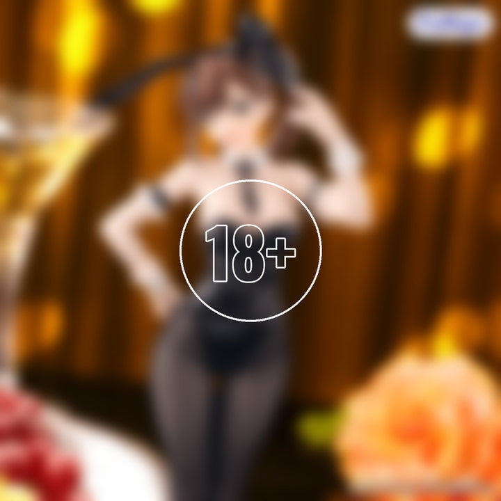 There Is Also a Hole in the Student Organization! BiCute Bunnies Figure -Hisako Kotobuki- - 18+ adults only cover
