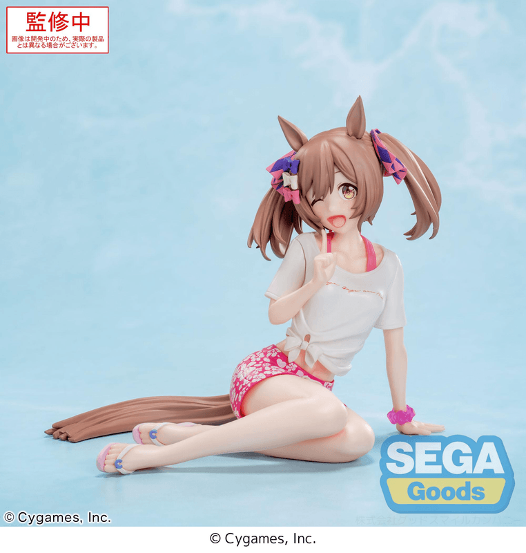 SEGA Yumemirize Umamusume: Pretty Derby Smart Falcon -Gaze on Me!- | 4582733450612