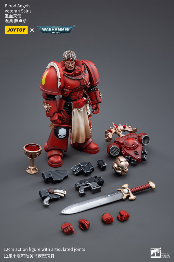 Joy Toy Blood Angels Veteran Salus | 6973130373389