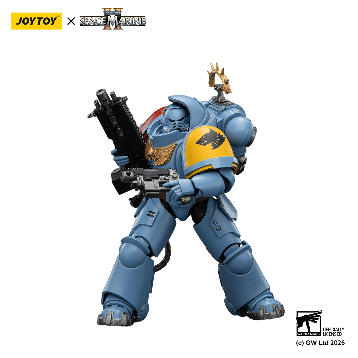 Game Edition Space Wolves Heavy Intercessor with Heavy Bolt Rifle and Bolt Pistol | 6927054403646