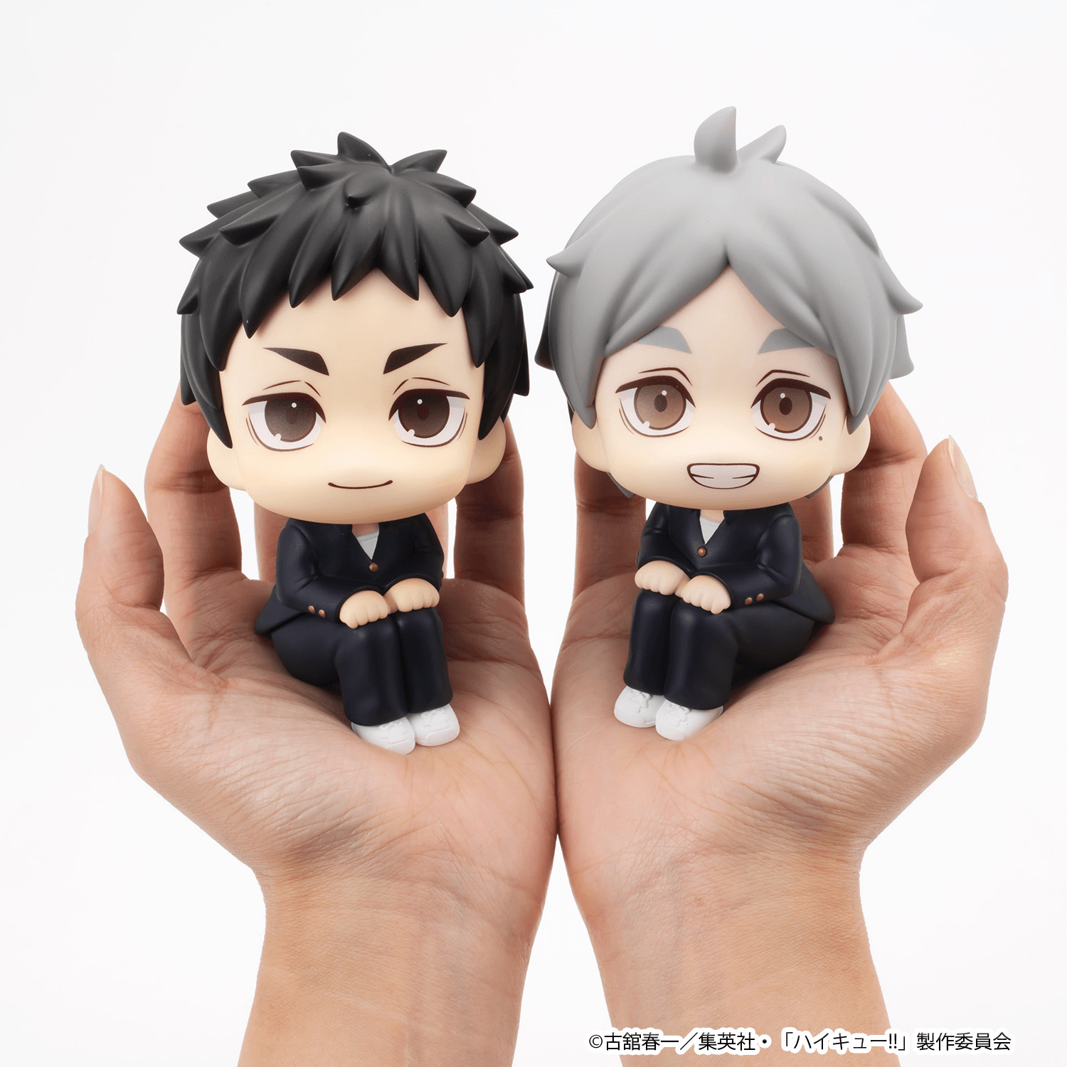 Lookup Haikyu!! Daichi Sawamura & Koushi Sugawara set 【with gift】 | 4535123851025
