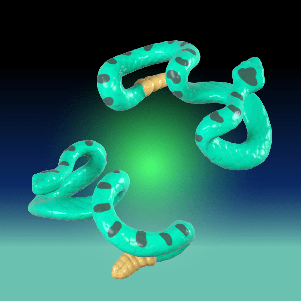 ROVER ROBIN Overtakes Skull Rider | 4934054083930