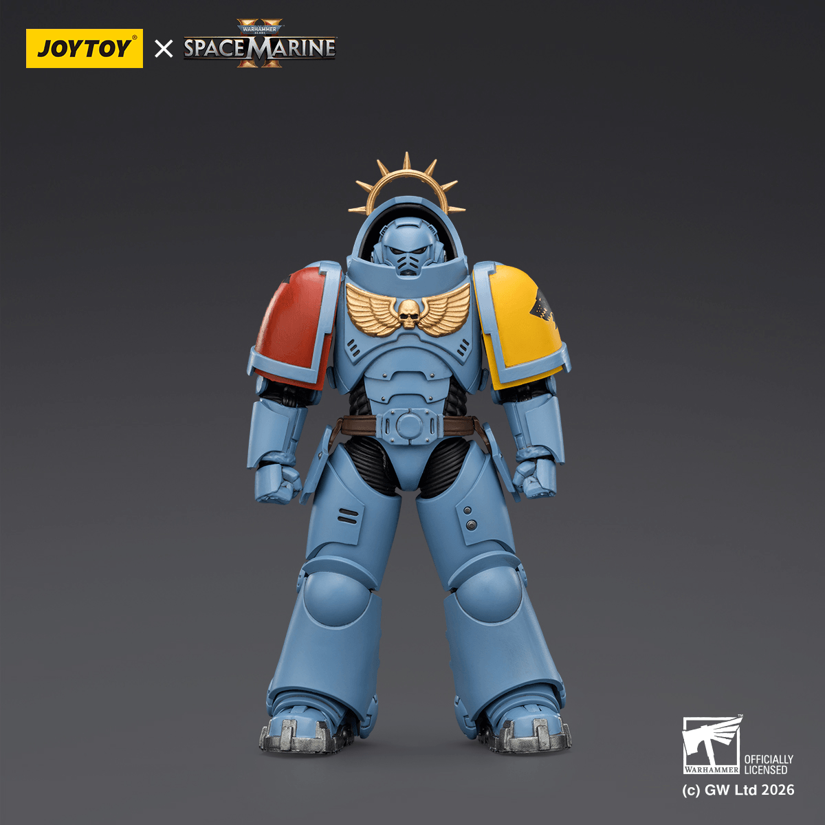 Game Edition Space Wolves Heavy Intercessor with Heavy Bolt Rifle and Bolt Pistol | 6927054403646