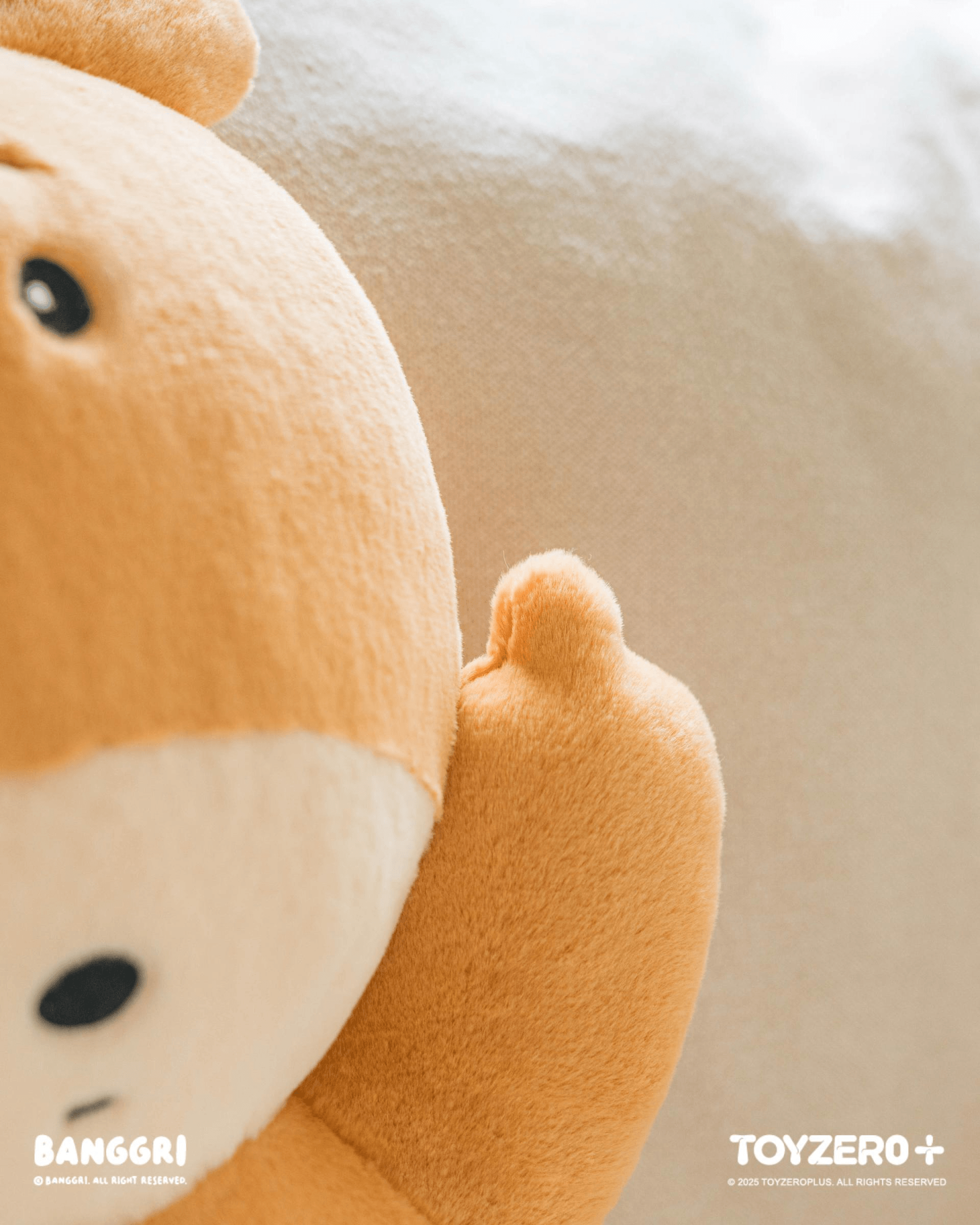 BANGGRI Generic Series - 40cm Plush (Munggu ver.) | 6978531760929