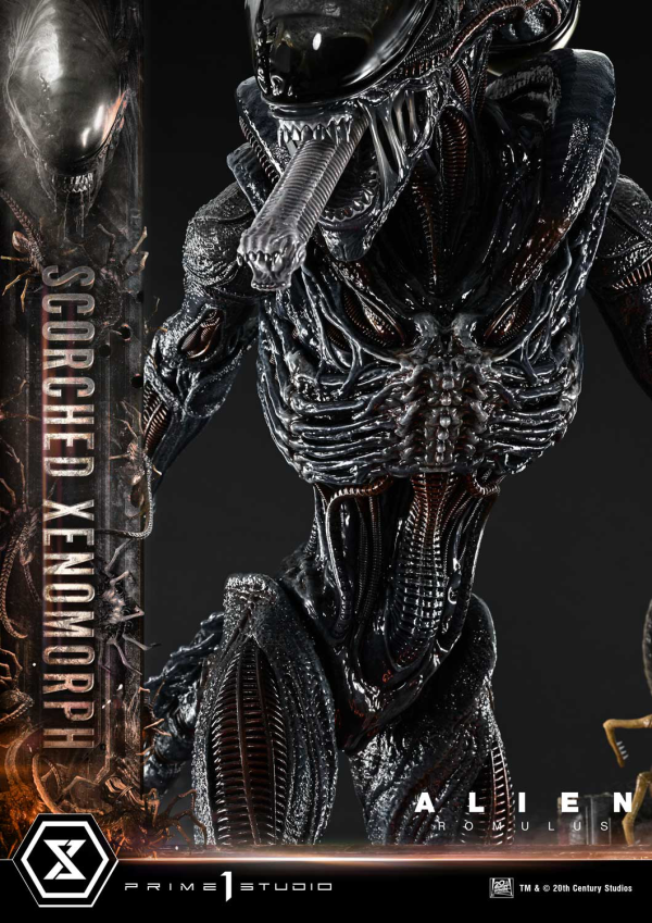 Prime 1 Studio Museum Masterline XL Alien: Romulus Scorched Xenomorph Deluxe Version | 4582647121868