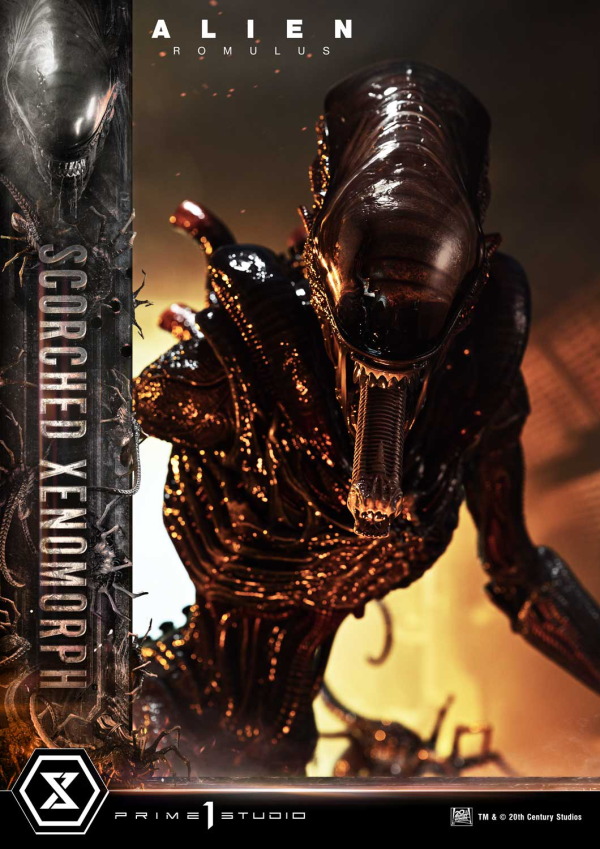 Prime 1 Studio Museum Masterline XL Alien: Romulus Scorched Xenomorph | 4582647121851