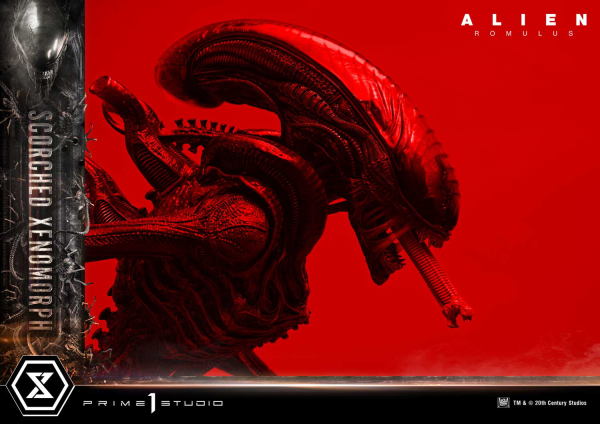 Prime 1 Studio Museum Masterline XL Alien: Romulus Scorched Xenomorph Deluxe Bonus Version | 4582647121875