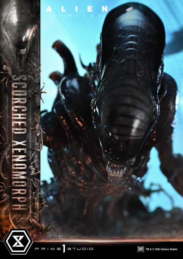 Prime 1 Studio Museum Masterline XL Alien: Romulus Scorched Xenomorph | 4582647121851