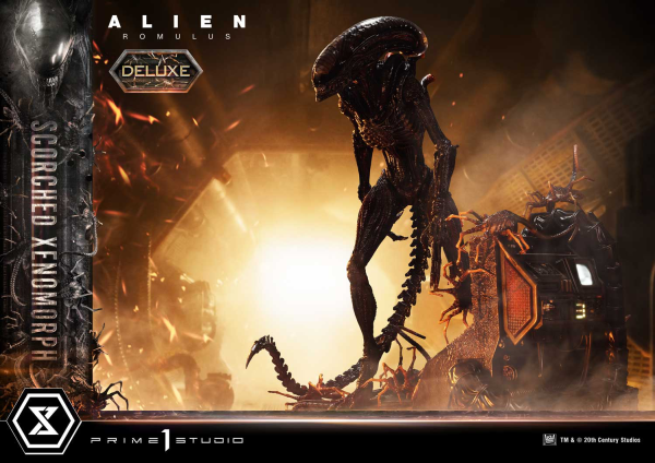 Prime 1 Studio Museum Masterline XL Alien: Romulus Scorched Xenomorph Deluxe Version | 4582647121868