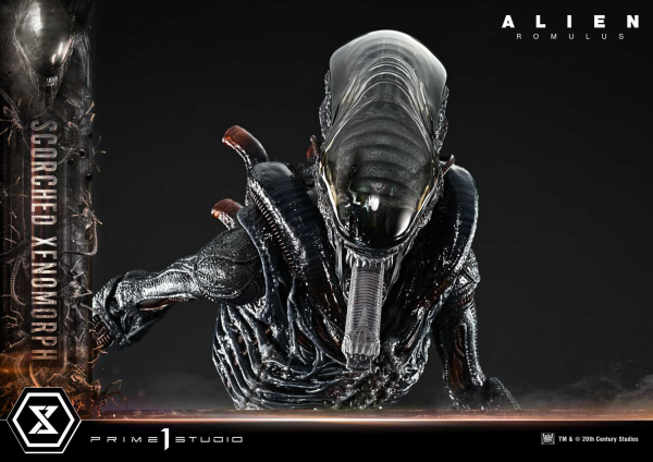 Prime 1 Studio Museum Masterline XL Alien: Romulus Scorched Xenomorph Deluxe Bonus Version | 4582647121875
