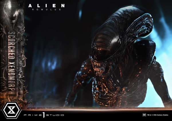 Prime 1 Studio Museum Masterline XL Alien: Romulus Scorched Xenomorph Deluxe Bonus Version | 4582647121875