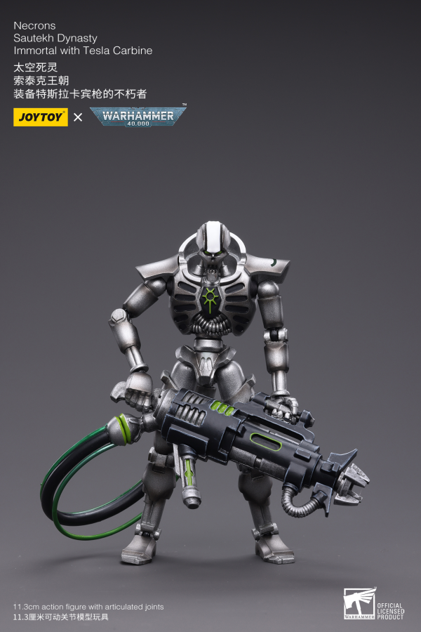 Joy Toy WH40K-Necrons Sautekh Dynasty Immortal with Tesla Carbine | 6973130374775