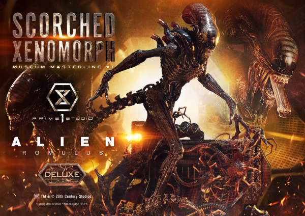 Prime 1 Studio Museum Masterline XL Alien: Romulus Scorched Xenomorph Deluxe Version | 4582647121868