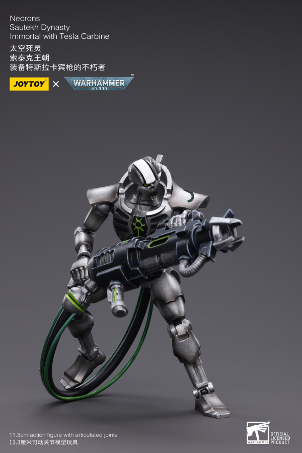 Joy Toy WH40K-Necrons Sautekh Dynasty Immortal with Tesla Carbine | 6973130374775