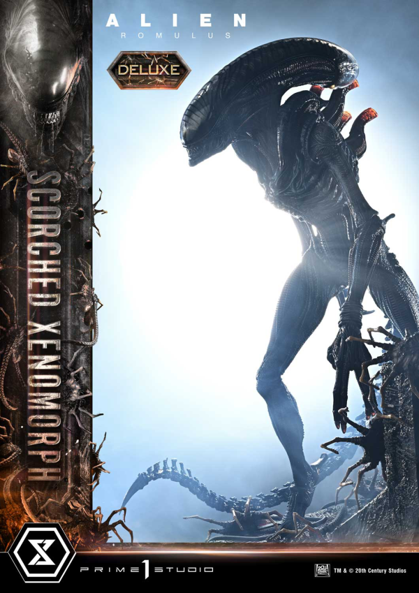 Prime 1 Studio Museum Masterline XL Alien: Romulus Scorched Xenomorph Deluxe Version | 4582647121868