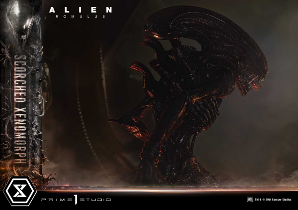 Prime 1 Studio Museum Masterline XL Alien: Romulus Scorched Xenomorph Deluxe Bonus Version | 4582647121875
