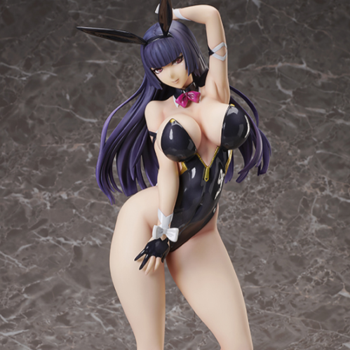 Tomoka Hinasawa: Bare Leg Bunny Ver.