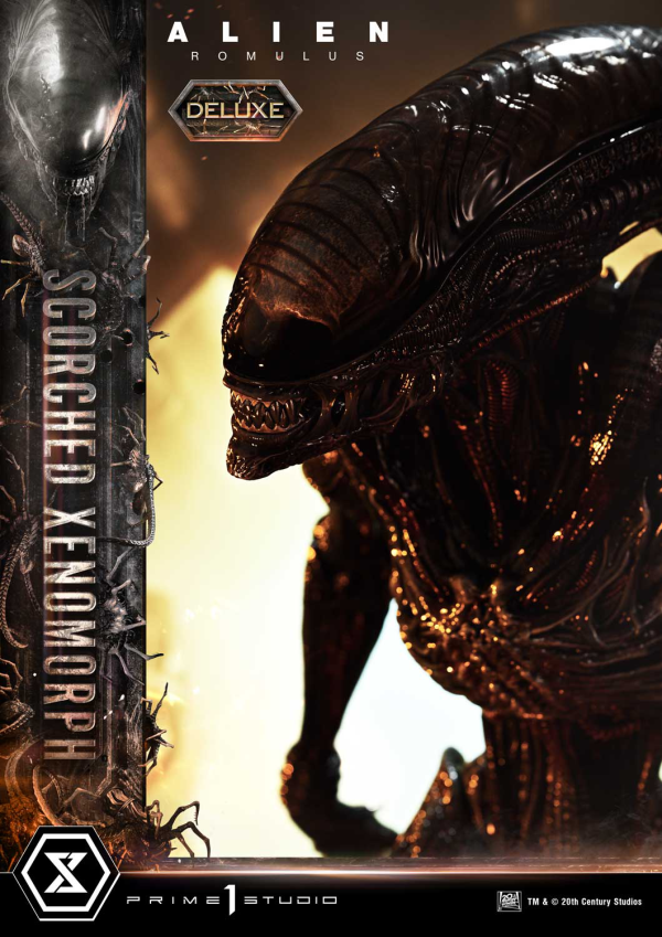 Prime 1 Studio Museum Masterline XL Alien: Romulus Scorched Xenomorph Deluxe Bonus Version | 4582647121875