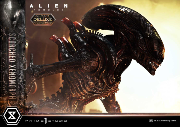 Prime 1 Studio Museum Masterline XL Alien: Romulus Scorched Xenomorph Deluxe Version | 4582647121868