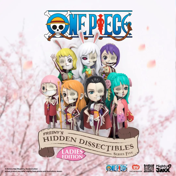Mighty Jaxx Hidden Dissectibles: One Piece Series 5 (Ladies ed.) | 631978818009