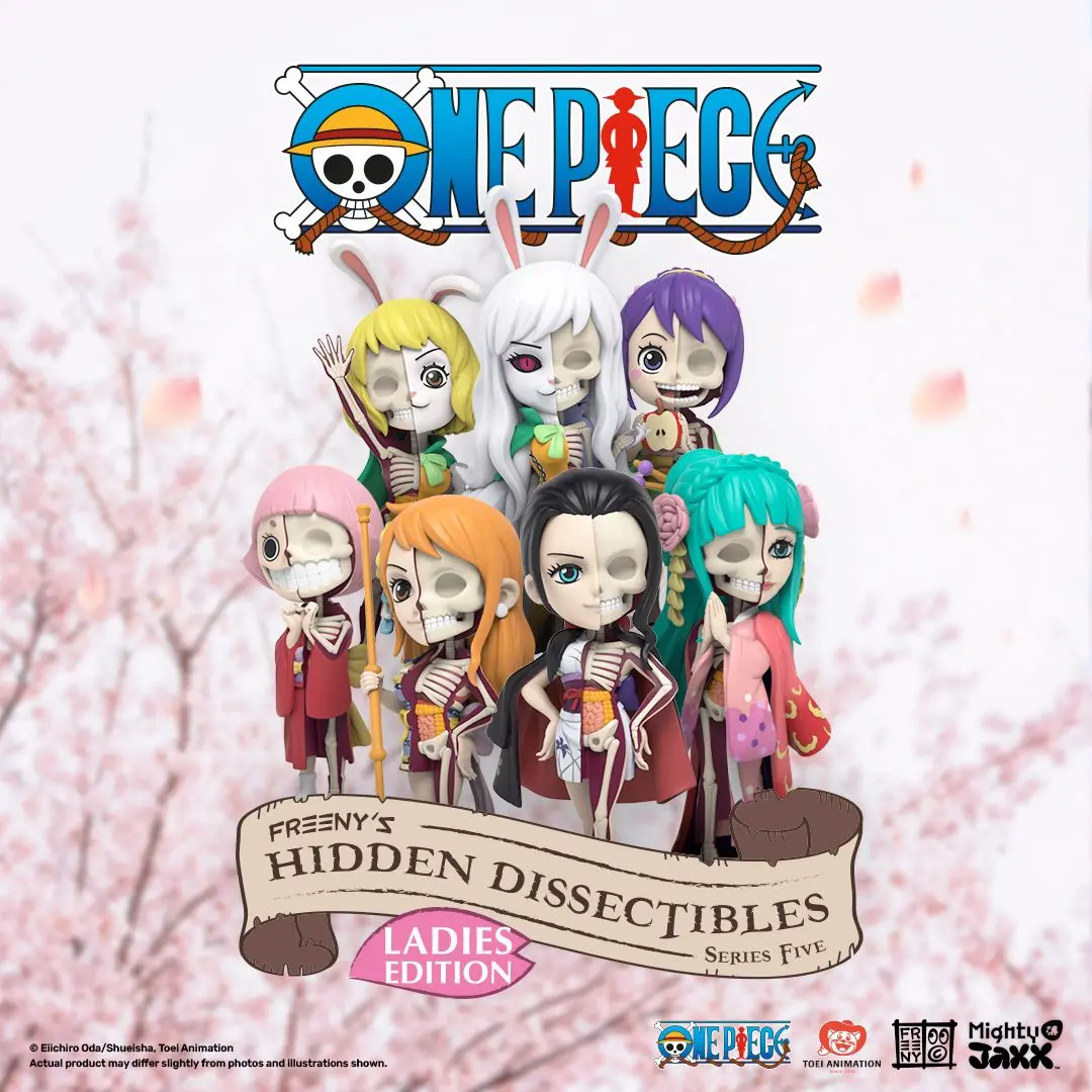 Mighty Jaxx Hidden Dissectibles: One Piece Series 5 (Ladies ed.)