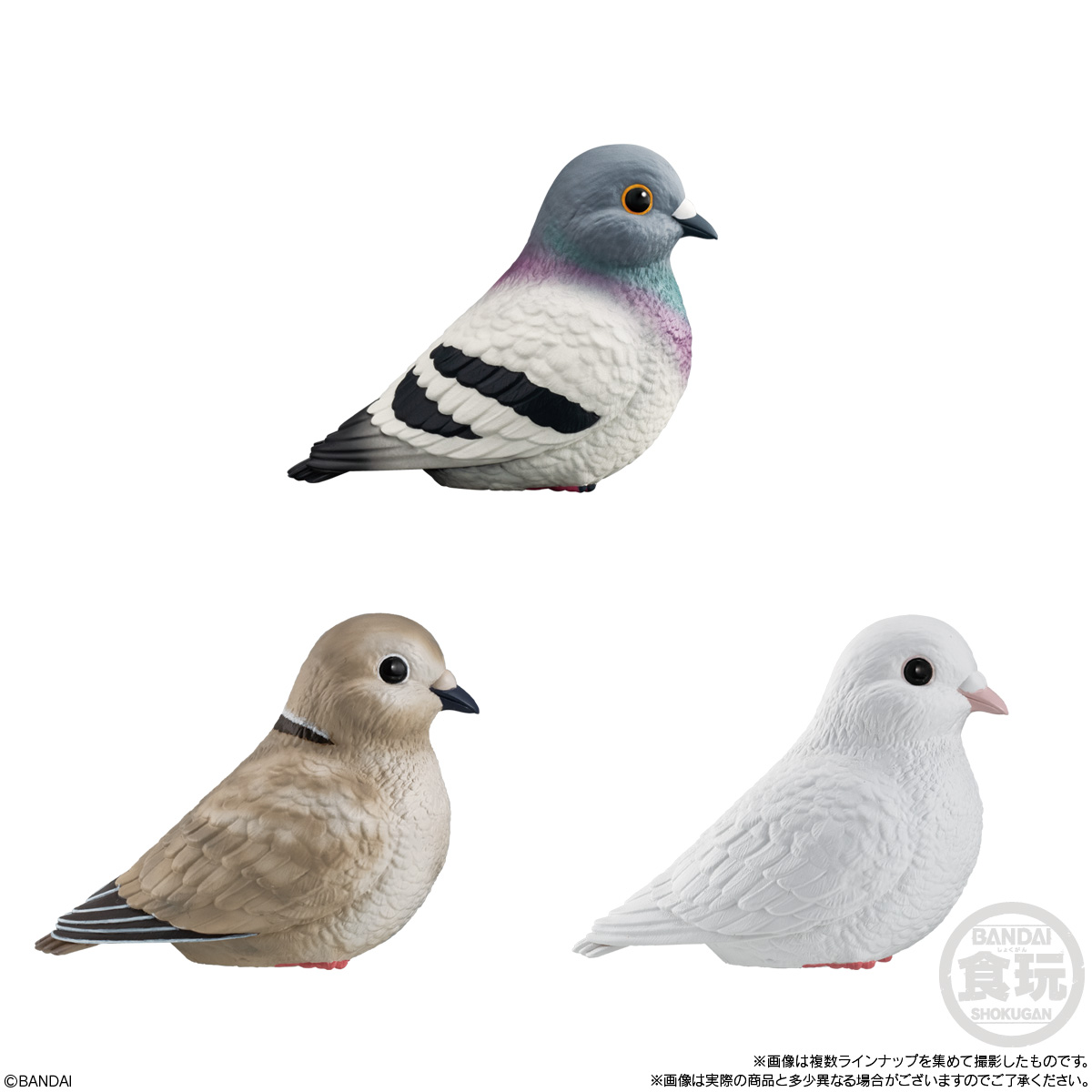 BANDAI Tenori Friends - Pigeons - Imagination Mix (Box/12), Bandai Shokugan Tenori Friends