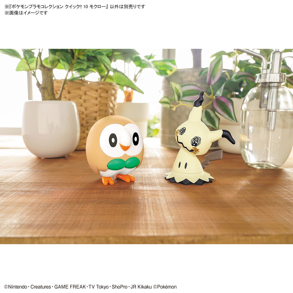 Pokemon Model Kit QUICK!! 10 ROWLET | 4573102637796