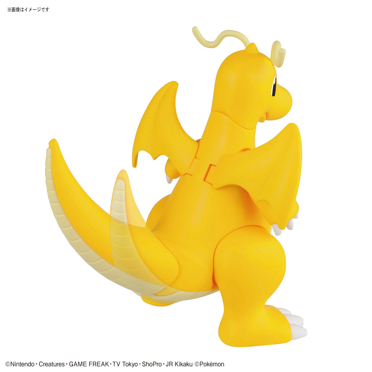 POKEMON MODEL KIT CHARIZARD & DRAGONITE | 4573102608574