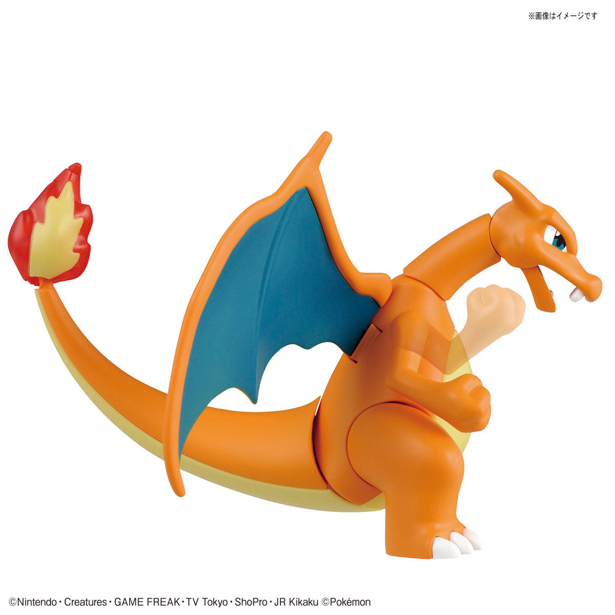 POKEMON MODEL KIT CHARIZARD & DRAGONITE | 4573102608574