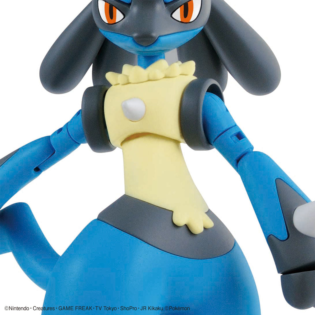 POKEMON MODEL KIT RIOLU & LUCARIO | 4573102608567