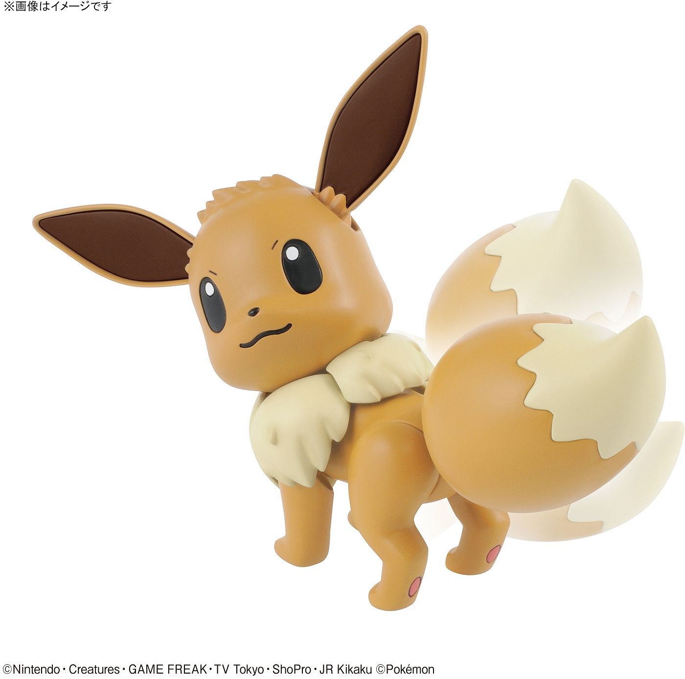 POKEMON MODEL KIT EEVEE | 4573102581129