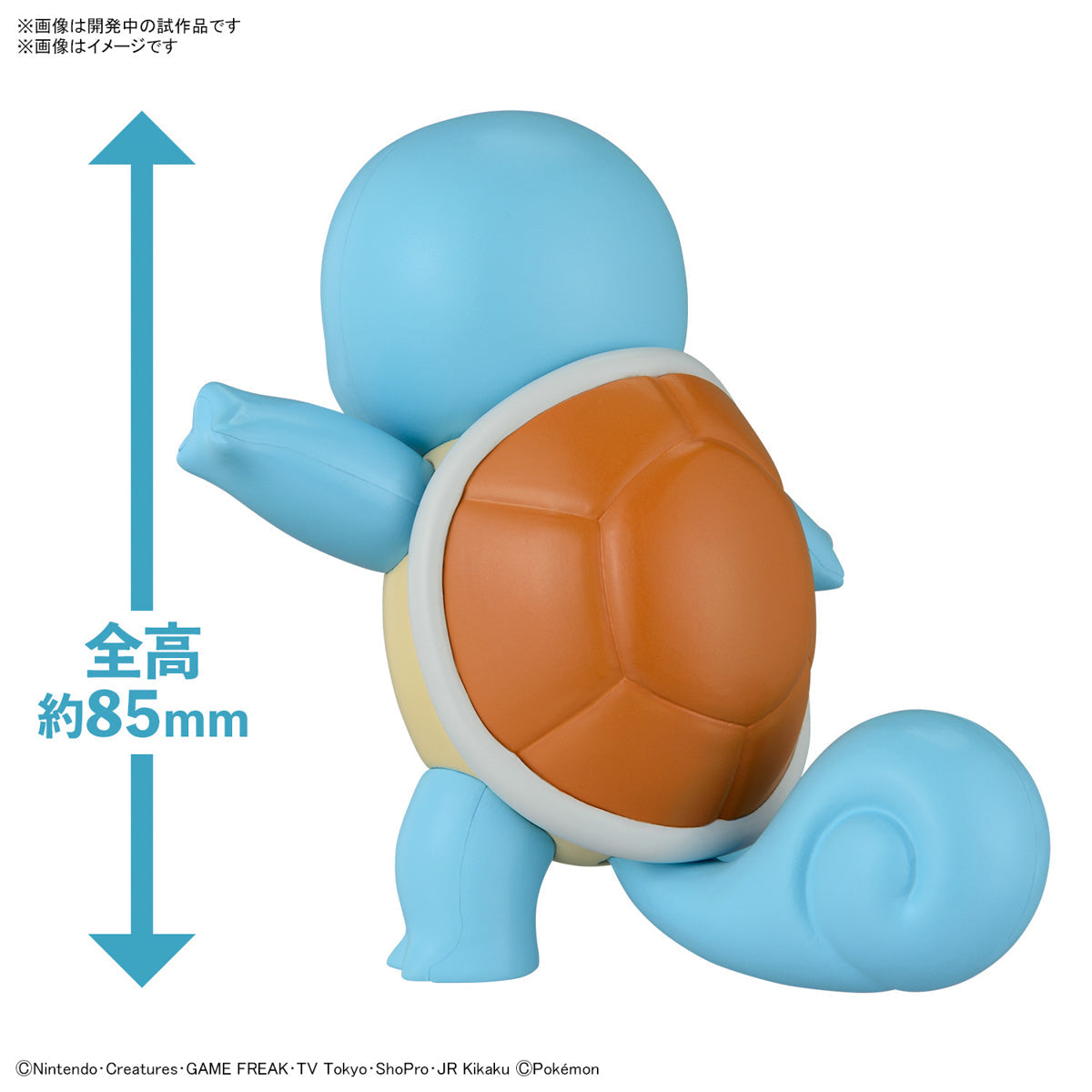 Pokémon Model Kit QUICK!! 17 SQUIRTLE | 4573102660183