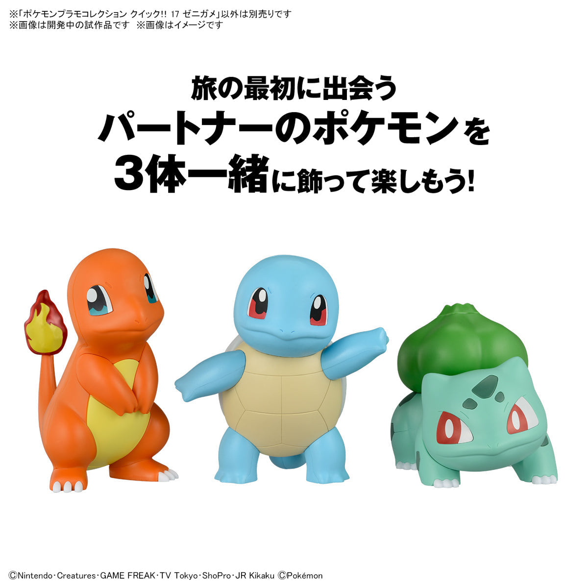 Pokémon Model Kit QUICK!! 17 SQUIRTLE | 4573102660183