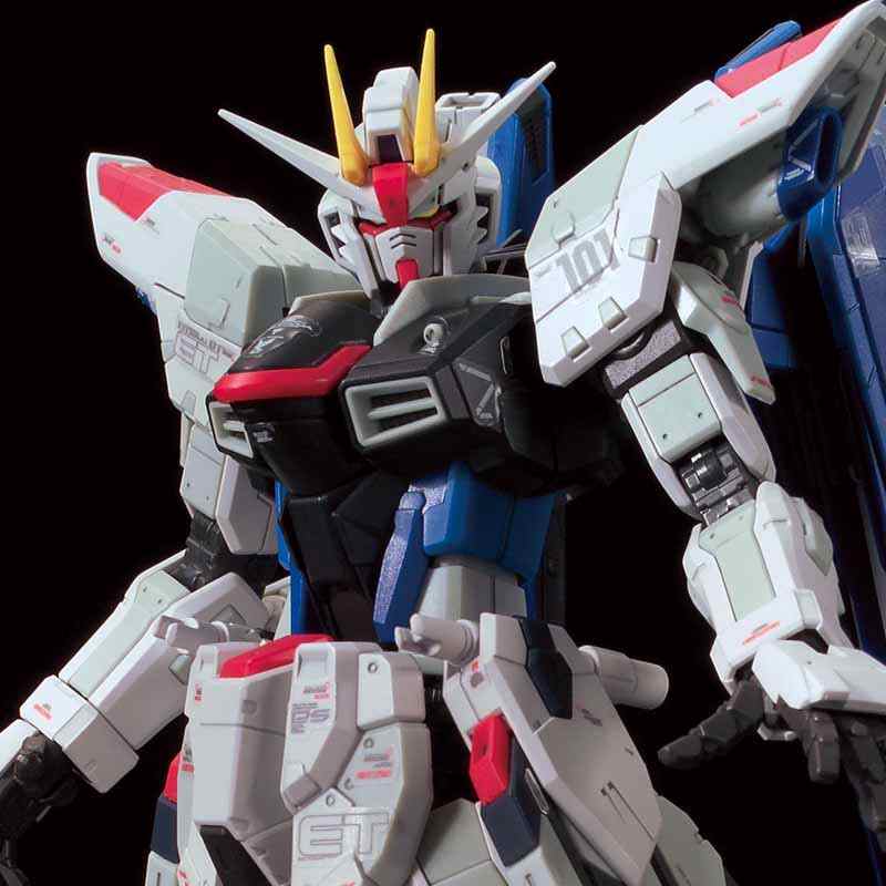 P-Bandai RG 1/144 The Gundam Base Limited ZGMF-X10A Freedom Gundam Ver.GCP