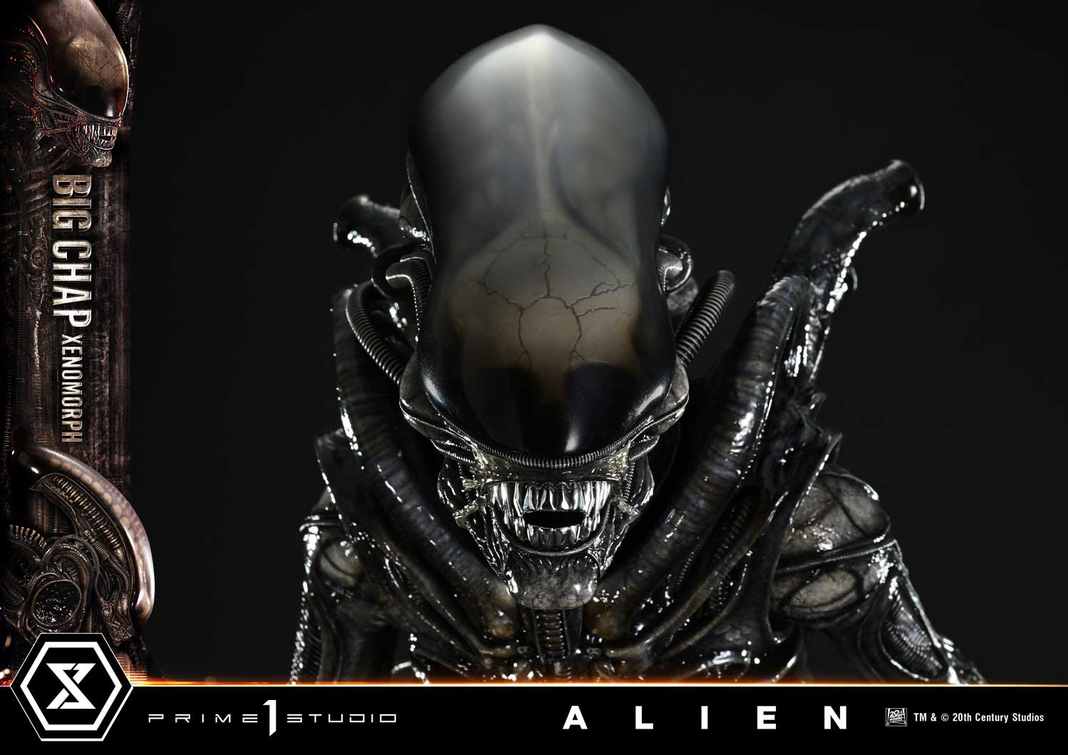 (PRE-ORDER) Museum Masterline XL Alien (Film) Big Chap Xenomorph Regular Ver.