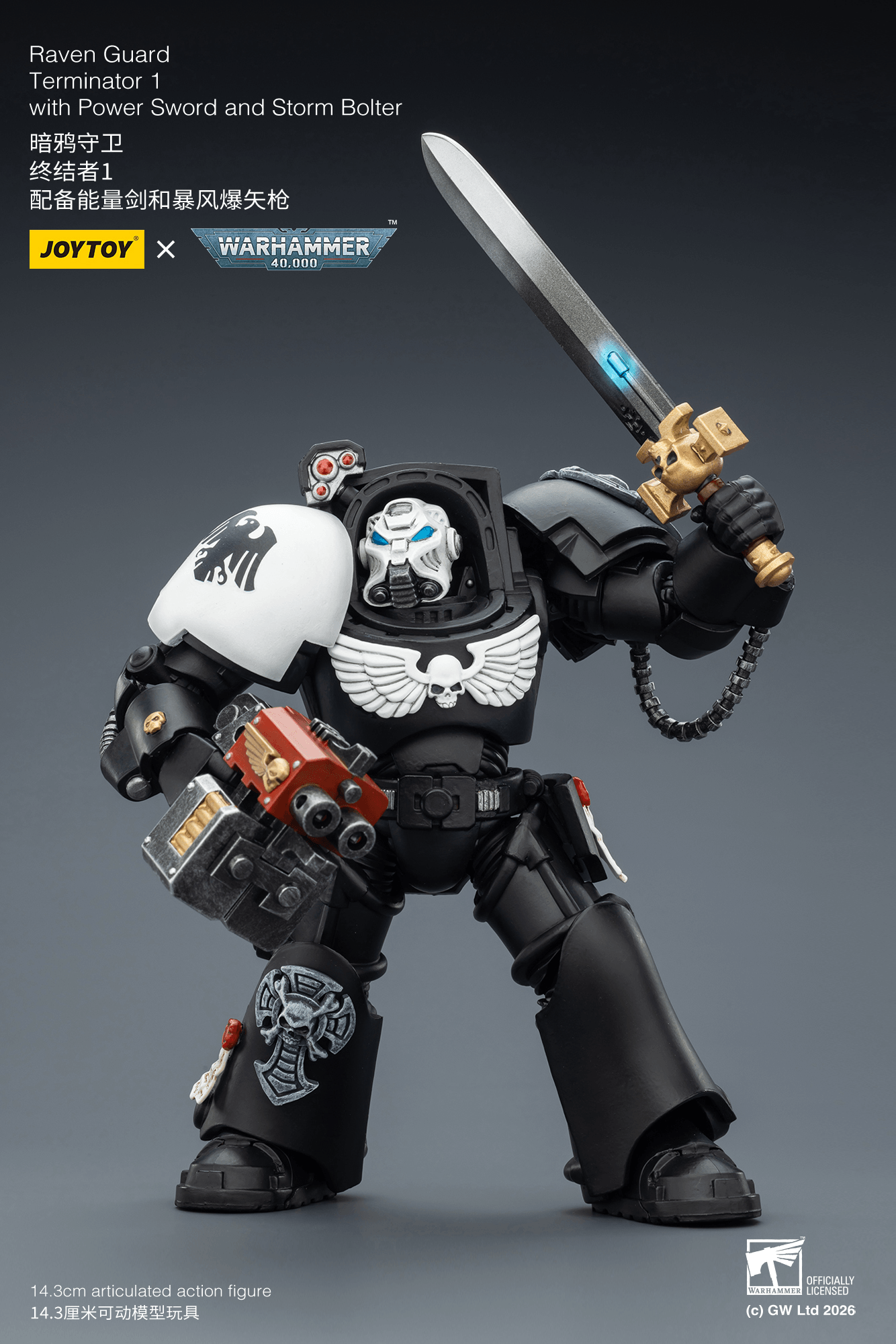 Raven Guard Terminator 1 with Power Sword and Storm Bolter | 6927054403240