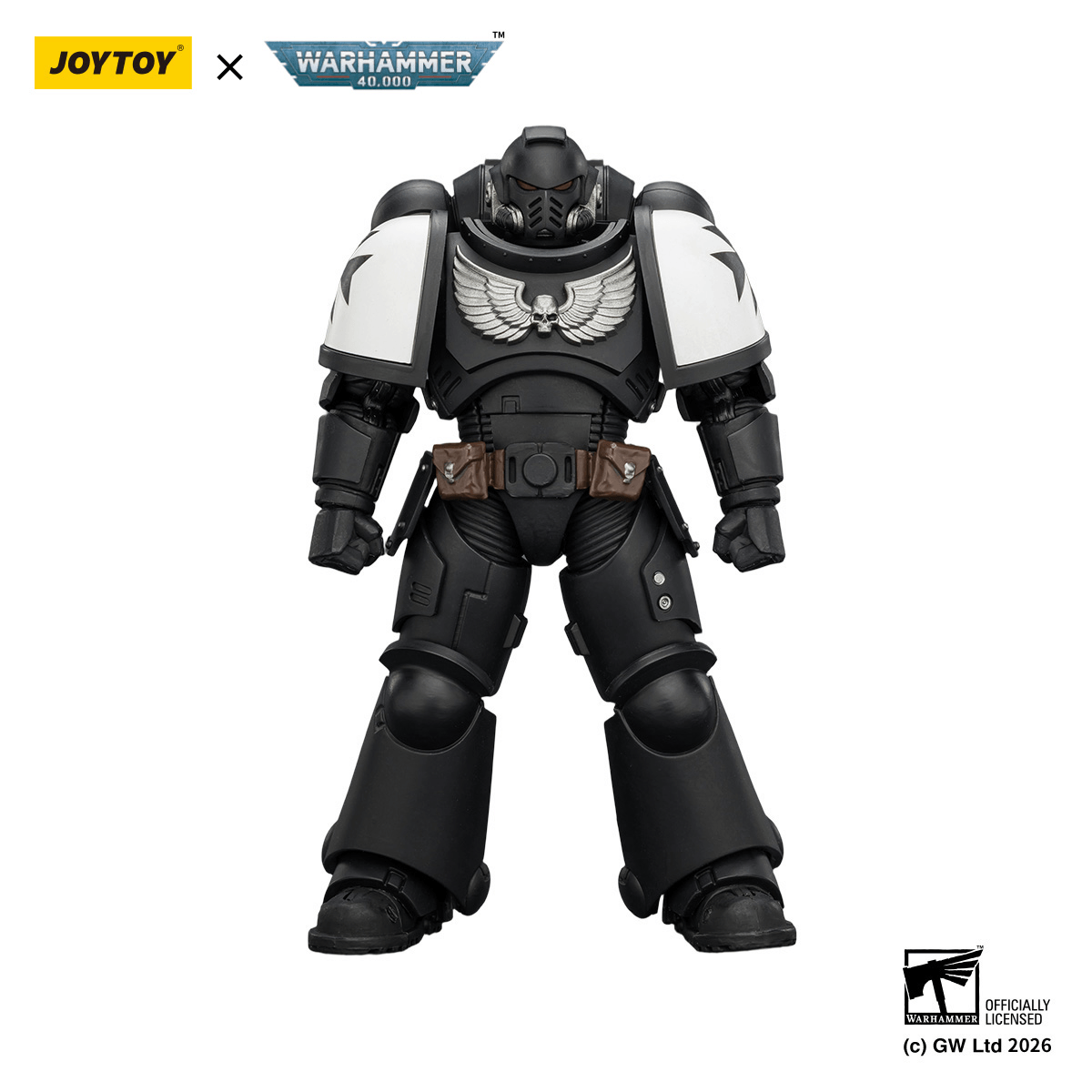 Black Templars Intercessor with Bolt Rifle, Bolt Pistol and Chainsword | 6927054403905
