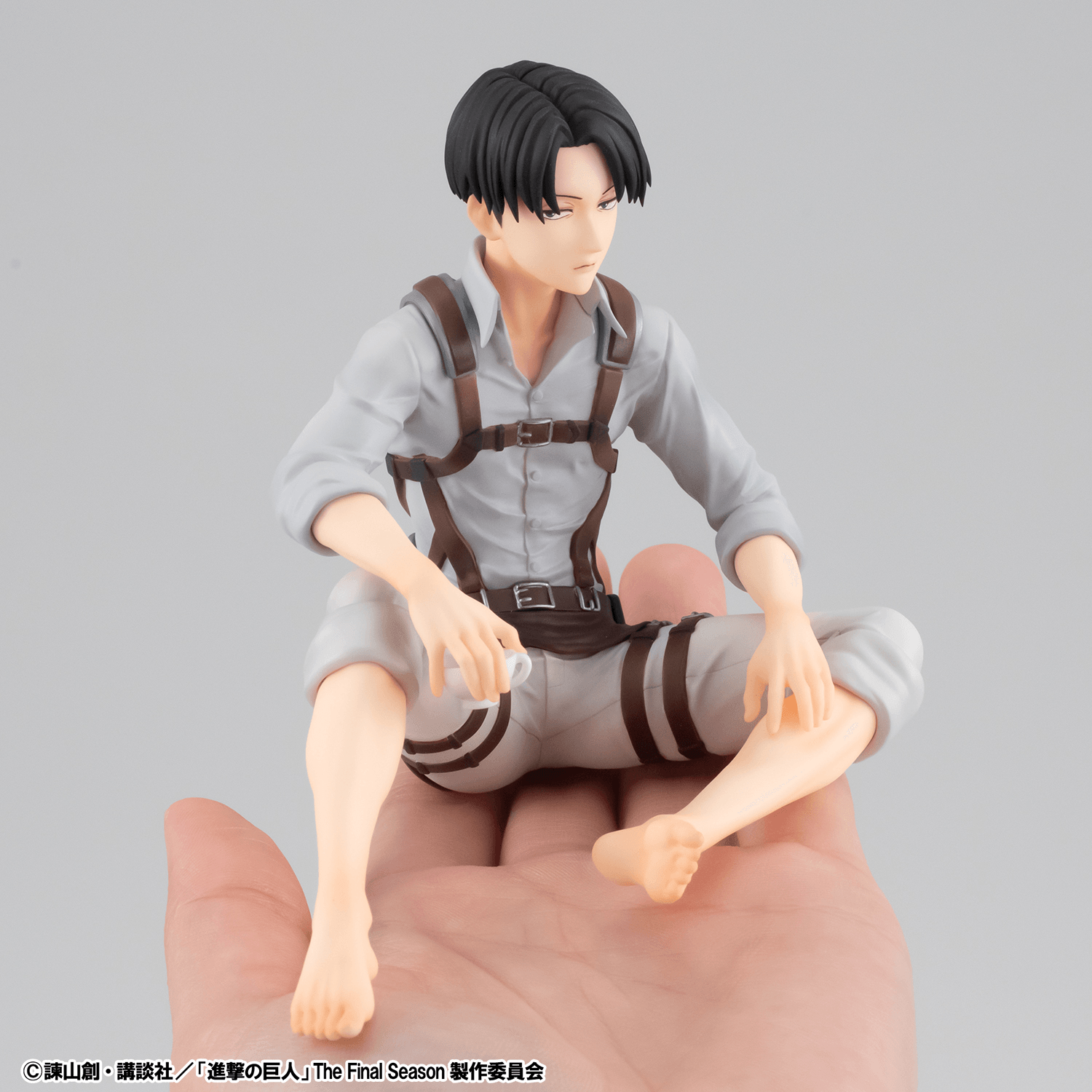 G.E.M. Series Attack on Titan Palm size Ellen / Squad Captain Levi set