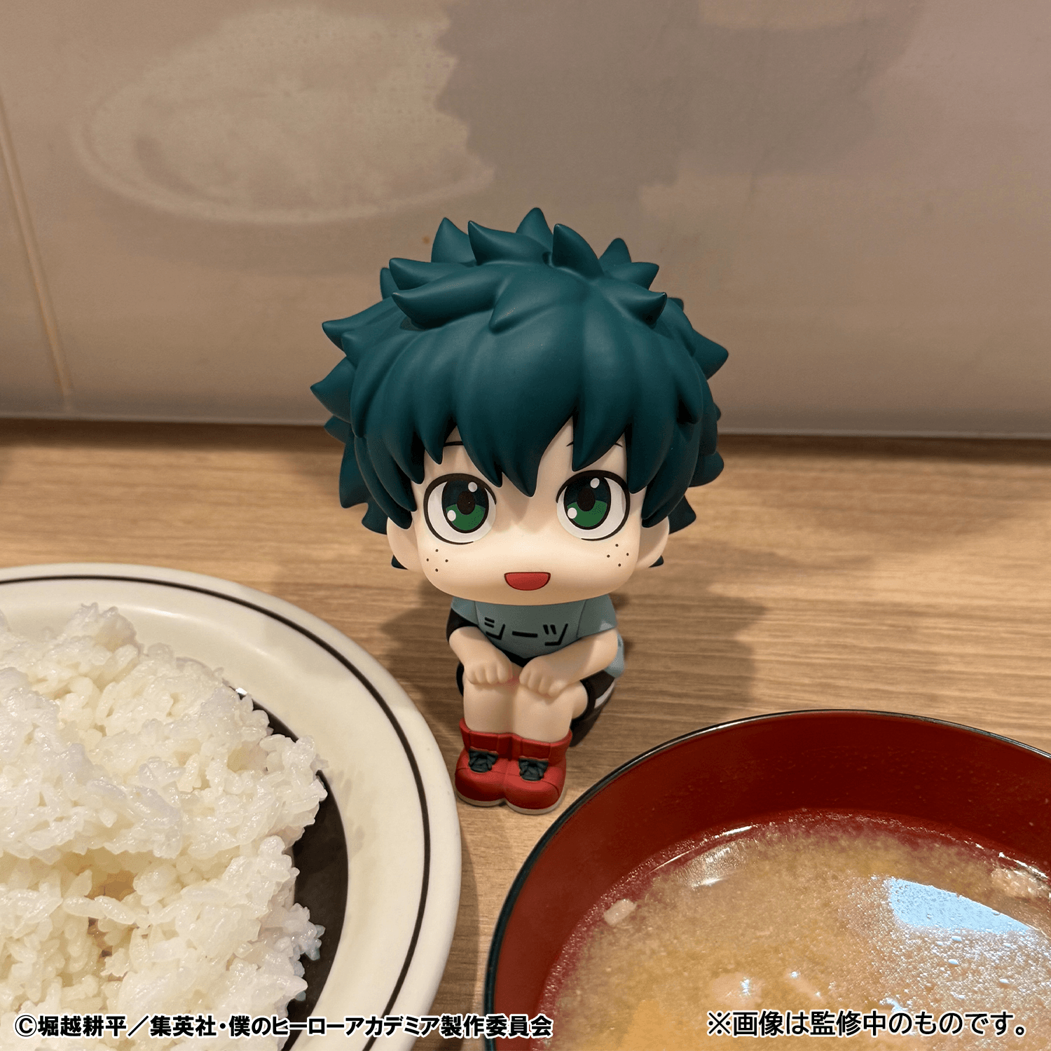Lookup My Hero Academia Izuku Midoriya Casual Look Ver. | 4535123851643