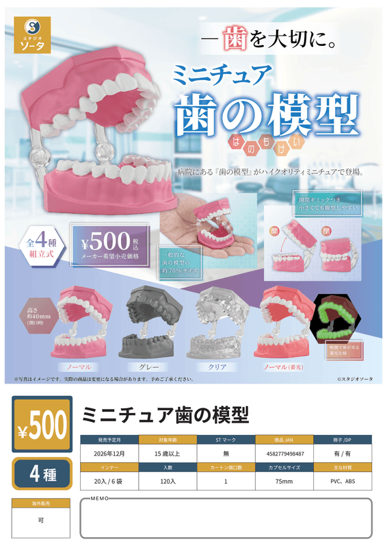 Miniature Tooth Models (Box of 4)