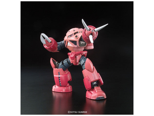 RG 16 1/144 Zgok Char Custom | 4573102616012